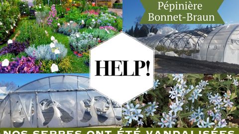 Depuis cinq ans, Céline et Flavien Bonnet s’activent pour reprendre une pépinière familiale spécialisée en particulier dans les plantes méditerranéennes. Ils lancent un appel à l’aide pour sauver leur projet et pérenniser leur installation. ©F. Bonnet